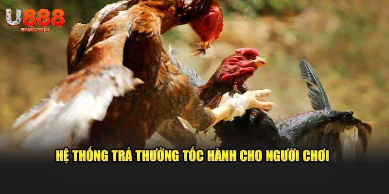 Hệ thống trả thưởng tốc hành cho người chơi